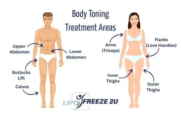 Graphic showing where you can have Body toning Treatment Cambridgeshire on your body